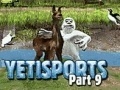 Oyunu Yeti Sports: Part 9 - Final Spit