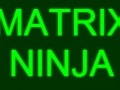 Oyunu Matrix Ninja