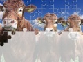 Oyunu Gorgeous Cows Jigsaw