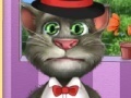 Oyunu Tom Cat Role Experience