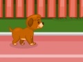 Oyunu Puppy racer