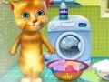 Oyunu Ginger washing clothes