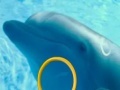 Oyunu Dolphin Tale 2 Hidden Alphabets