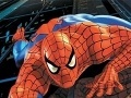 Oyunu Spider-Man: Puzzles