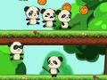 Oyunu Panda Shock Troop 