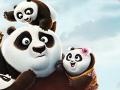 Oyunu Kung Fu Panda Adventure Puzzle 