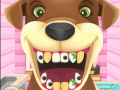 Oyunu Animal Dentist 