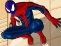 Oyunu Spiderman Costume