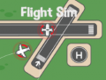 Oyunu Flight Sim