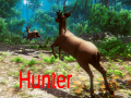 Oyunu Hunter