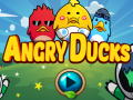 Oyunu Angry Ducks