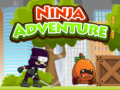 Oyunu Ninja Adventure