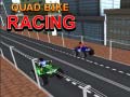 Oyunu Quad Bike Racing