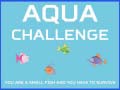Oyunu Aqua Challenge