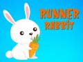 Oyunu Runner Rabbit