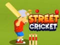 Oyunu Street Cricket