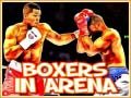Oyunu Boxers in Arena