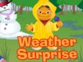 Oyunu Weather Surprise
