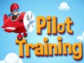 Oyunu Pilot Training