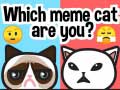 Oyunu Which Meme Cat Are You?