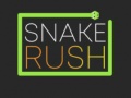 Oyunu Snake Rush