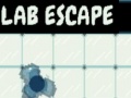 Oyunu Lab Escape