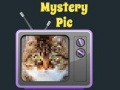 Oyunu Mystery Pic