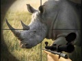 Oyunu Wild Rhino Hunter