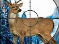 Oyunu Sniper Stag Hunter