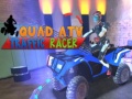Oyunu Quad ATV Traffic Racer