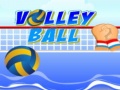 Oyunu Volley ball