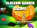 Oyunu Blossom Garden Escape