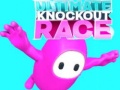 Oyunu Ultimate Knockout Race
