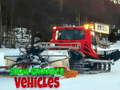 Oyunu Snow Groomer Vehicles