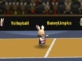 Oyunu Bunny volleyball