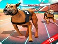 Oyunu Crazy Dog Race