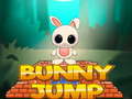 Oyunu Bunny Jump