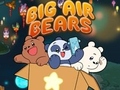 Oyunu Big Air Bears
