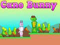Oyunu Cano Bunny