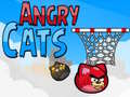 Oyunu Angry Cats