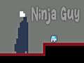 Oyunu Ninja Guy