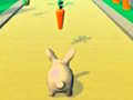 Oyunu Rabbit Runner