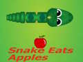 Oyunu Snake Eats Apple