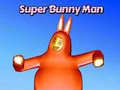 Oyunu Super Bunny Man