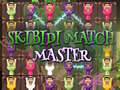 Oyunu Skibidi Match Master