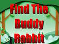 Oyunu Find The Buddy Rabbit