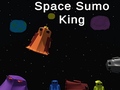 Oyunu Space Sumo King