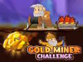 Oyunu Gold Miner Challenge