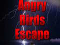 Oyunu Angry Birds Escape