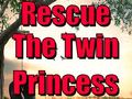 Oyunu Rescue The Twin Princess